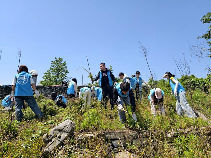 哈哈体育员工在石漠化严重的撂荒地开展劳动2